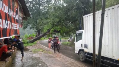 Pohon Tumbang Melintang di Jalan Raya Cianjur Sindangbarang