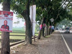 Gencar, Satpol PP Bawaslu Cianjur Copot Baliho Caleg di Berbagai Objek