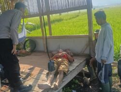 Sesosok Mayat Ditemukan Dipinggir Kolam Lele di Cibeber