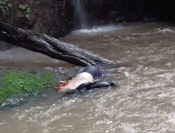 Sesosok Mayat di Curug Sawer Kejutkan Warga Cintaasih
