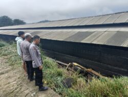 Truk Hendak Ngangkut Telur Terguling di Cibeber, Satu Tewas