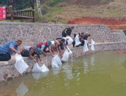 Dukung Ketahanan Pangan, DPKP Cianjur Tebar Ribuan Benih Ikan Nila
