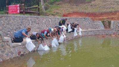 Dukung Ketahanan Pangan, DPKP Cianjur Tebar Ribuan Benih Ikan Nila