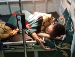 Sisa Jamur Liar Teman Makan Nasi Liwet Lima Anak di Campaka Dikirim ke Labkesda Jabar