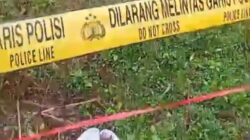 Mayat Perempuan di Kebun Teh Cugenang Bikin Geger