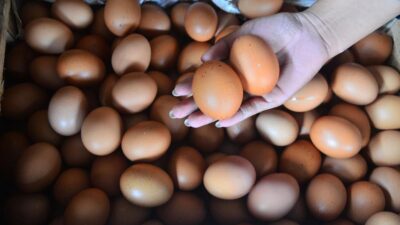 Jelang Puasa Harga Telur Ayam di Cianjur Mahal