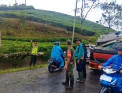 Pohon Timpa Elf Kidulan, Sopir Luka di Kepala