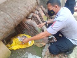 Bayi Terbungkus Jas Hujan Buat Geger Masyarakat Warungkondang