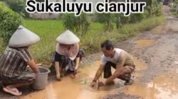 Viral Warga Sukaluyu Tanam Padi Hingga Tebar Benih Ikan di Jalan Rusak