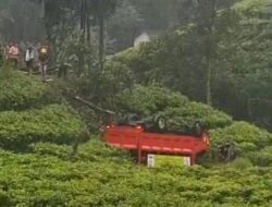 Truk Pengangkut Gas Subsidi Terbalik di Perkebunan Teh Sukanagara, Diduga Sopir Mengantuk