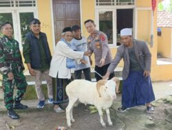 Polsek Karangtengah Sumbang Satu Ekor Domba Kurban