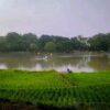Situ Asem, Destinasi Wisata Baru Dulunya Sawah yang Disulap Jadi Danau Alami