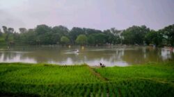 Situ Asem, Destinasi Wisata Baru Dulunya Sawah yang Disulap Jadi Danau Alami