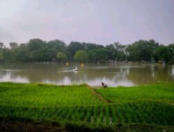 Situ Asem, Destinasi Wisata Baru Dulunya Sawah yang Disulap Jadi Danau Alami