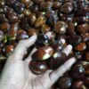 Harga Jengkol Tembus Rp 60 Ribu per Kilo di Pasar Induk Cianjur