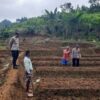 Petani Desa Sukajadi Dapat Pendampingan Polsek Cibinong untuk Tanam Jagung Hibrida