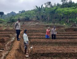 Petani Desa Sukajadi Dapat Pendampingan Polsek Cibinong untuk Tanam Jagung Hibrida