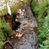 DLH Cianjur Tindaklanjuti Aduan Warga Soal Tumpukan Sampah di Sukawangi