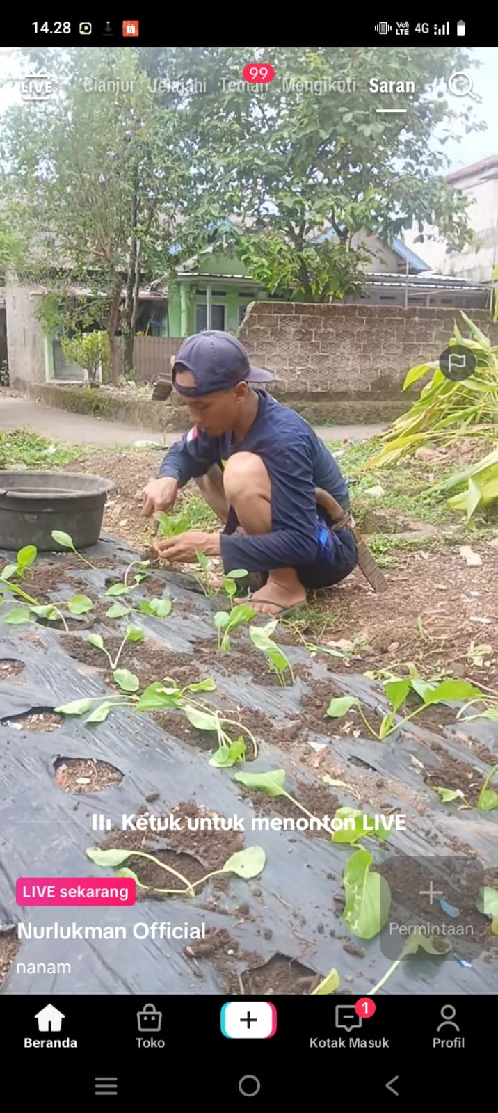 Kepala Desa Sukataris kedapatan live TikTok di kebun pribadinya saat jam kerja.