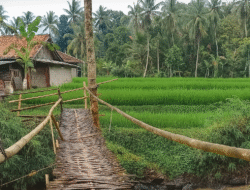 Jembatan Bambu Lapuk di Desa Girimukti Membahayakan Tak Kunjung Diperbaiki