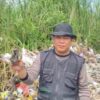 Bunikasih Banyak Sampah Popok, Kades Beri Tips Agar Bisa Jadi Pupuk Alami