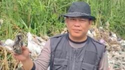 Bunikasih Banyak Sampah Popok, Kades Beri Tips Agar Bisa Jadi Pupuk Alami