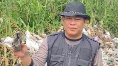 Bunikasih Banyak Sampah Popok, Kades Beri Tips Agar Bisa Jadi Pupuk Alami