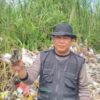 Bunikasih Banyak Sampah Popok, Kades Beri Tips Agar Bisa Jadi Pupuk Alami