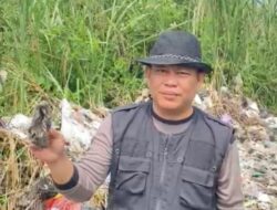 Bunikasih Banyak Sampah Popok, Kades Beri Tips Agar Bisa Jadi Pupuk Alami