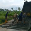 Jalan Penghubung Dua Desa Kini Dibeton, Warga Sukawangi dan Ciwalen Rasakan Manfaatnya