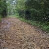 Jalan Rusak Parah di Sukanagara, Pemkab Cianjur Dinilai Abai