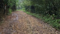 Jalan Rusak Parah di Sukanagara, Pemkab Cianjur Dinilai Abai