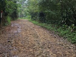 Jalan Rusak Parah di Sukanagara, Pemkab Cianjur Dinilai Abai