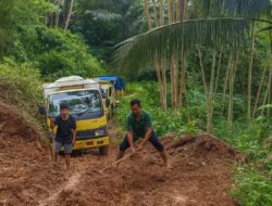 Sumber Ekonomi Desa Sukamulya Lari ke Bandung, Pemda Cianjur Dinilai Rugi Sendiri