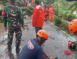 Jalan Raya Bandung Tertutup Pohon Tumbang, Akses Lalin Terhambat