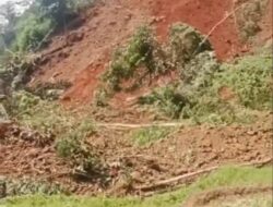 Longsor di Cibinong Timpa Area Pertanian, Warga Sebut Tidak Ada Angin dan Hujan