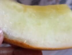 Buah Melon Program Makan Bergizi di SDN Kembangmanis 3 Ditemukan Berbelatung, Kejadian Kedua dari Dapur SPPG Rancagoong