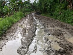Warga Harapkan Perbaikan Jalan Desa Neglasari yang Sudah Rusak Bertahun-tahun