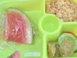 Viral Makanan MBG Cianjur Tak Sesuai Takaran, Ahli Gizi Belum Punya SK Resmi!