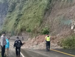 Belasan Ribu Meter Sawah Tertimbun Longsor di Naringgul Akibat Hujan Deras