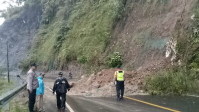 Belasan Ribu Meter Sawah Tertimbun Longsor di Naringgul Akibat Hujan Deras