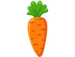 Harga Wortel Naik Dua Kali Lipat di Cianjur, Imbas Cuaca Buruk di Jawa Barat