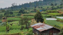 TNGP Pastikan Area Eksplorasi PLTP Hanya Gunakan Lahan Eksisting