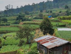 TNGP Pastikan Area Eksplorasi PLTP Hanya Gunakan Lahan Eksisting
