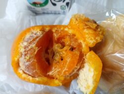 Buah Jeruk untuk Menu MBG di SDN Cikancana 1 Ditemukan Busuk, Roti dan Kerupuk Tak Berlabel BPOM