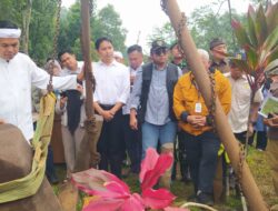 Kemenbud Turunkan Tim Ahli, Dedi Mulyadi Kawal Rekonstruksi Gunung Padang