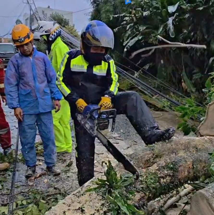 Teks: Kasat Lantas Polres Cianjur AKP Ardian Andrianto ikut evakuasi pohon tumbang di Jalur Puncak Ciloto, Cipanas, Cianjur.