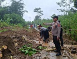 Jalan Alternatif Mekarsari–Mekarjaya Tertutup Longsor, Polsek Cikalongkulon Turun Tangan