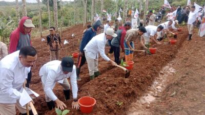 Gerindra Cianjur Tanam 1.300 Pohon Produktif di Sukanagara, Dukung Ketahanan Pangan Nasional