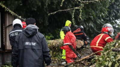 Pohon Tumbang Tutup Jalur Puncak Ciloto, Polisi dan Petugas Gabungan Lakukan Evakuasi